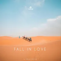 Taoufik — Fall In Love — обложка