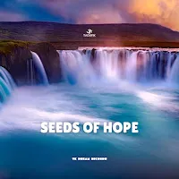 Taoufik — Seeds Of Hope — обложка